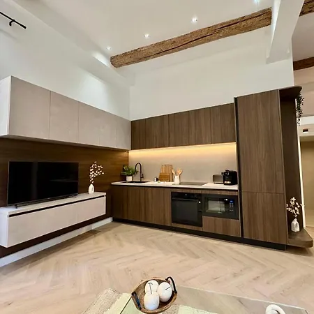 Charme Et Modernite Au Coeur Du Vieux Διαμέρισμα Νίκαια